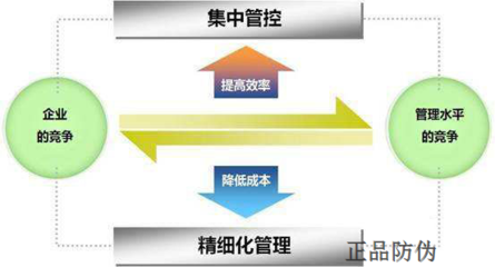 中藥材防偽追溯系統(tǒng)的開發(fā)與信息數(shù)據(jù)庫構(gòu)建